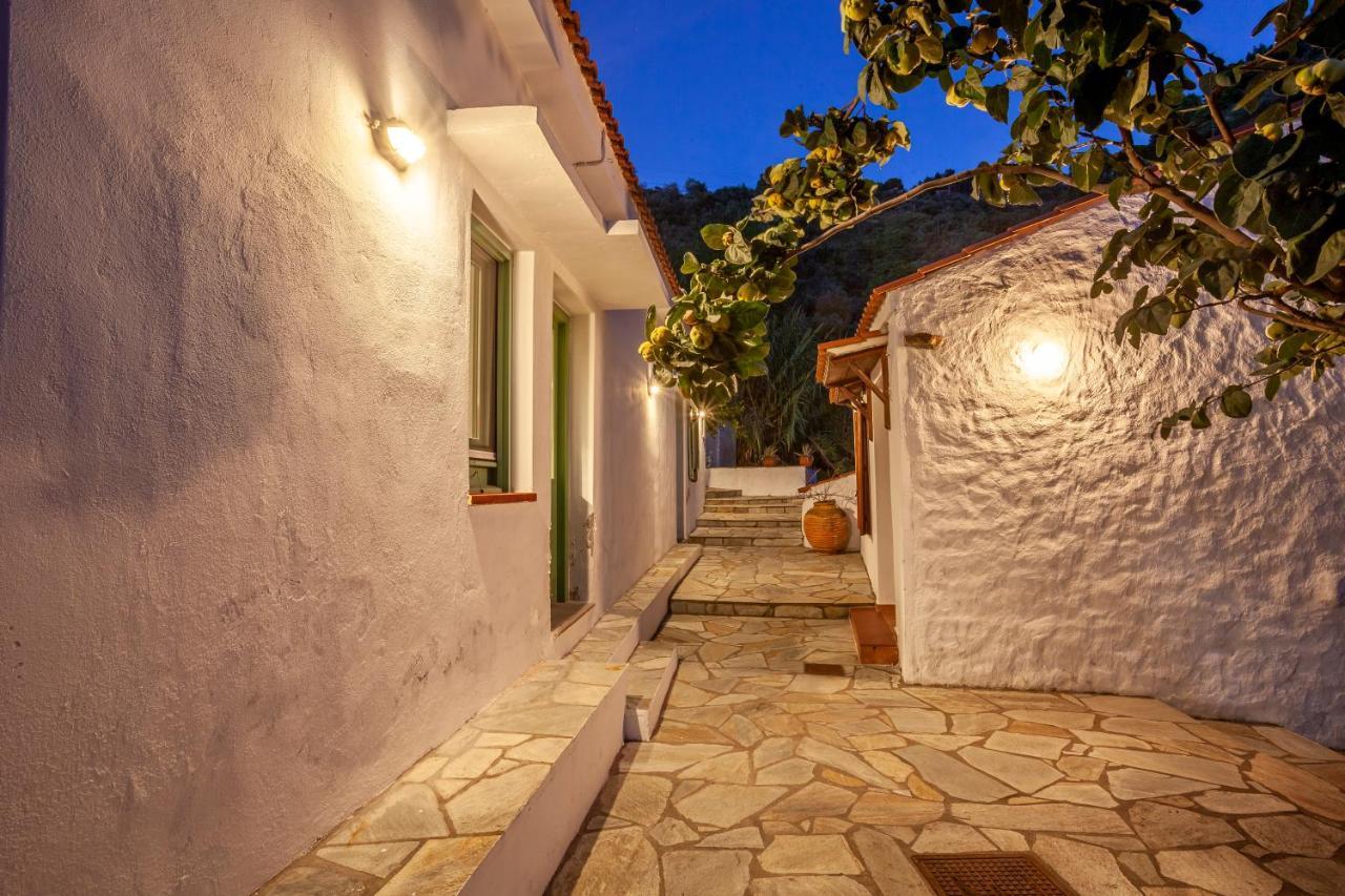Olea Skopelos Villas With Swimming Pools & Sea View Panormos  Extérieur photo