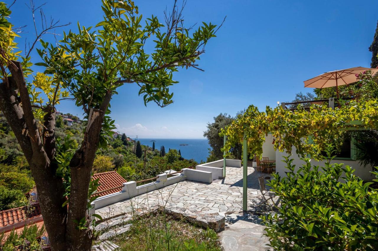 Olea Skopelos Villas With Swimming Pools & Sea View Panormos  Extérieur photo