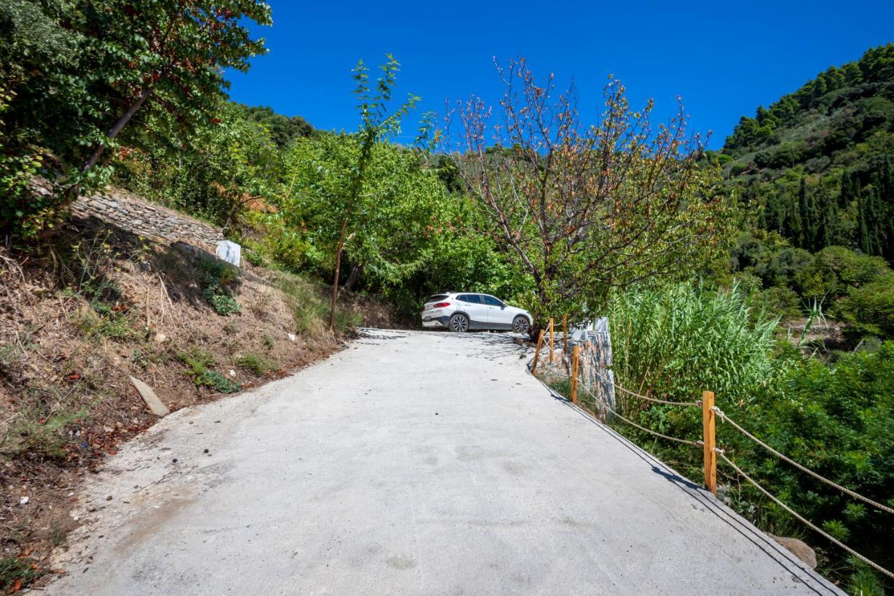 Olea Skopelos Villas With Swimming Pools & Sea View Panormos  Extérieur photo