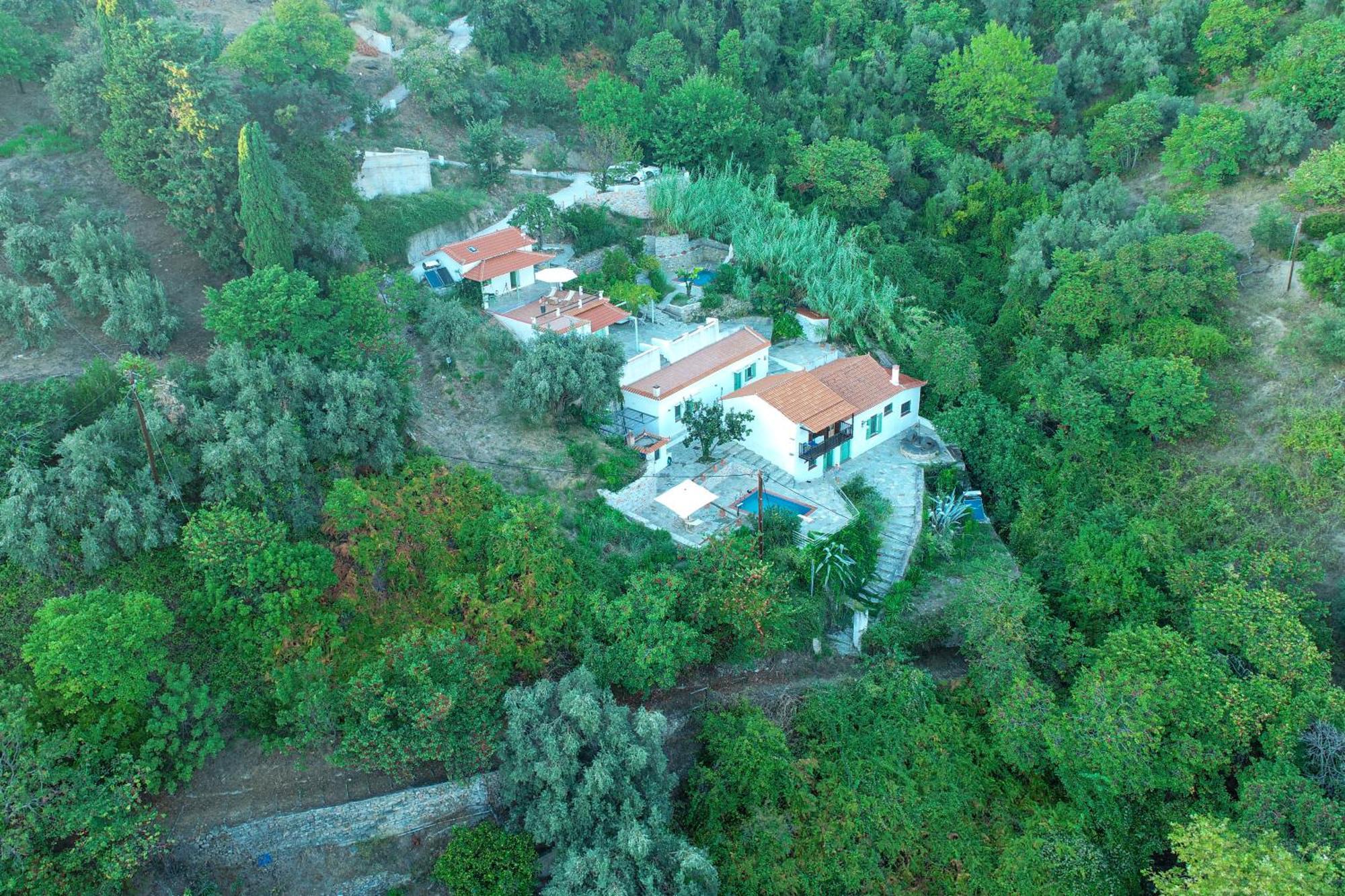 Olea Skopelos Villas With Swimming Pools & Sea View Panormos  Extérieur photo